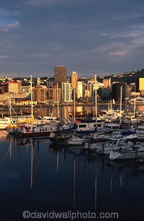 boat;boats;yacht;yachts;harbor;harbors;harbour;harbours;dock;quay;city;basin;water;waterfront;waterside;marinas;chaffers-marina;wellington;dawn;early-light;office;offices;office-blocks;cbd;central-business-district;sunrise