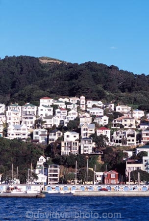 boat;boats;yacht;yachts;harbor;harbors;harbour;harbours;dock;quay;city;basin;water;waterfront;waterside;marinas;boatsheds;shed;historical;house;houses;residences;resdential;home;homes;suburb;suburbs;hillside;villa;steep