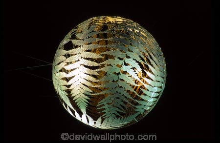 art;culture;capital;native;fern;ferns;ball;sculpture;sculptures;statue;statues;civic-square;wellington;public-art-works;metal;night