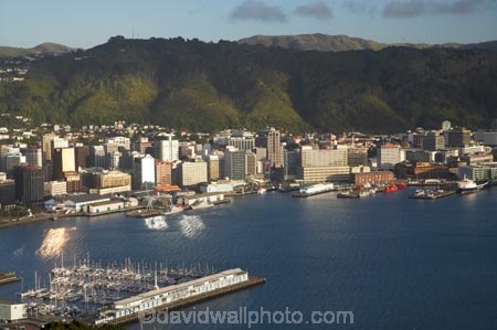 c.b.d.;capital;capitals;cbd;central-business-district;Chaffers-Marina;cities;city;cityscape;cityscapes;harbor;harbors;harbour;harbours;high-rise;high-rises;high_rise;high_rises;highrise;highrises;Lambton-Harbour;Mount-Victoria;Mt-Victoria;Mt.-Victoria;multi_storey;multi_storied;multistorey;multistoried;N.I.;N.Z.;New-Zealand;NI;North-Is;North-Island;NZ;office;office-block;office-blocks;offices;Port-Nicholson;tower-block;tower-blocks;waterfront;Wellington;Wellington-Harbor;Wellington-Harbour;Wellington-Town-Belt