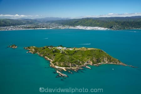 aerial;aerial-image;aerial-images;aerial-photo;aerial-photograph;aerial-photographs;aerial-photography;aerial-photos;aerial-view;aerial-views;aerials;coast;coastal;coastline;coastlines;coasts;DOC-Buildings;harbor;harbors;harbour;harbours;island;islands;Matiu;Matiu-Somes-Island;MatiuSomes-Island;N.I.;N.Z.;New-Zealand;NI;North-Is;North-Island;NZ;NZ-Department-of-Conservation-buildings;Petone;Port-Nicholson;sea;seas;shore;shoreline;shorelines;shores;Somes-Is;Somes-Is.;Somes-Island;Te-Whanganui_a_Tara;water;Wellington;Wellington-Harbor;Wellington-Harbour