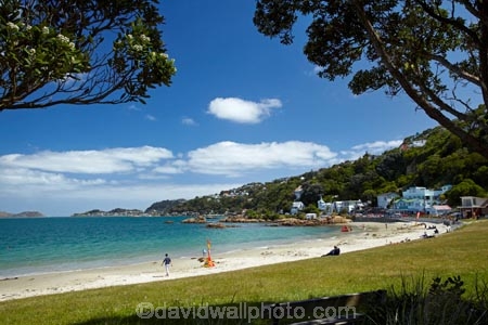 beach;beaches;coast;coastal;harbor;harbors;harbour;harbours;N.I.;N.Z.;New-Zealand;NI;North-Is.;North-Island;Nth-Is;NZ;Port-Nicholson;Scorching-Bay;Te-Whanganui_a_Tara;Wellington;Wellington-Harbor;Wellington-Harbour