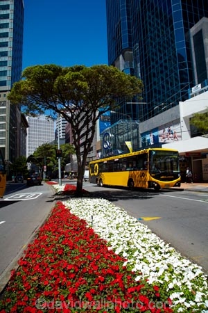 bus;buses;c.b.d.;capital;capitals;CBD;central-business-district;cities;city;city-centre;cityscape;cityscapes;coach;coaches;down-town;downtown;Financial-District;flower;flowers;garden;gardens;Go-Wellington-Bus;high-rise;high-rises;high_rise;high_rises;highrise;highrises;Lambton-Quay;motorbus;motorbuses;N.I.;N.Z.;New-Zealand;NI;North-Is;North-Is.;North-Island;Nth-Is;NZ;office;office-block;office-blocks;office-building;office-buildings;offices;omnibus;omnibuses;passenger-bus;passenger-buses;passenger-transport;public-transport;public-transportation;red;street-scene;street-scenes;tour-bus;tour-buses;transportation;Wellington;white;yellow