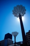 art;culture;capital;native;nikau;palm;sculpture;sculptures;statue;statues;palms;nikaus;civic-square;wellington;public-art-works;metal