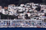 boat;boats;yacht;yachts;harbor;harbors;harbour;harbours;dock;quay;city;basin;water;waterfront;waterside;marinas;boatsheds;shed;historical;house;houses;residences;resdential;home;homes;suburb;suburbs;hillside;villa;steep