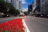 lambton-quay;wellington;skyline;sky-scrapers;offices;office;skyscraper;skyscrapers;sky-scraper;blocks;highrise;cbd;central;business;district;modern;architecture;edgy;city;cities;Exterior;Facade;Fa�ade;Facades;Fa�ades;cityscape;cityscapes;flower;flowers;red;garden;gardens;road;roads;street;streets