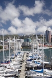boat;boats;capital;capitals;Chaffers-Marina;dock;docks;harbor;harbors;harbour;harbours;jetties;jetty;launch;launches;marina;marinas;mast;masts;Michael-Fowler-Centre;mooring;N.I.;N.Z.;New-Zealand;NI;North-Is;North-Island;NZ;pier;piers;port;ports;quay;quays;sail;sailing;waterfront;waterside;Wellington;wharf;wharfes;wharves;yacht;yachts