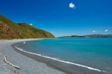 Camp-Bay;coast;coastal;coastline;coastlines;coasts;East-Harbour-Regional-Park;Eastbourne;harbor;harbour;N.I.;N.Z.;New-Zealand;NI;North-Is;North-Island;NZ;ocean;oceans;sea;seas;shore;shoreline;shorelines;shores;water;Wellington;Wellington-Harbor;Wellington-Harbour