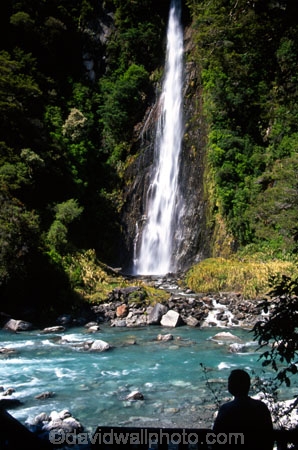 brook;calm;calmness;cascade;creek;;fall;flow;forest;green;gush;native-bush;natural;nature;pass;passes;pour;spill;stream;tumble;water;water-falls;waterfall;waterfalls