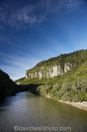 beautiful;beauty;brook;brooks;bush;color;colors;colour;colours;creek;creeks;endemic;fern;ferns;flow;forest;forests;green;lush;N.Z.;national-park;national-parks;native;native-bush;natives;natural;nature;New-Zealand;NZ;Paparoa-N.P.;Paparoa-National-Park;Paparoa-NP;Pororari-River;Punakaiki;rain-forest;rain-forests;rain_forest;rain_forests;rainforest;rainforests;river;rivers;S.I.;scene;scenic;SI;South-Island;stream;streams;tree;trees;unspoilt;untouched;verdant;water;West-Coast;Westland;wet;wilderness