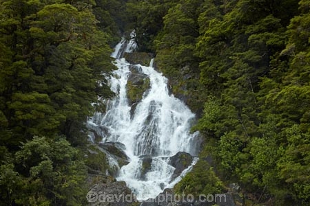 Beech-Forest;brook;calm;calmness;cascade;cascades;creek;;fall;falls;Fantail-Falls;flow;forest;green;gush;Haast-Pass;Haast-River;Mount-Aspiring-National-Park;Mt-Aspiring-N.P.;Mt-Aspiring-National-Park;Mt-Aspiring-NP;N.Z.;national-park;national-parks;native-bush;natural;nature;New-Zealand;NZ;river;rivers;S.I.;scene;scenic;SI;South-Is;South-Island;Sth-Is;stream;water;water-fall;water-falls;waterfall;waterfalls;West-Coast;Westland;wet