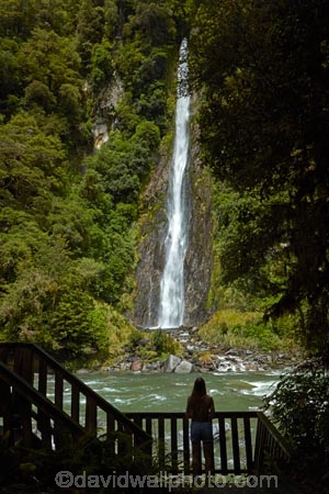 Beech-Forest;brook;brooks;calm;calmness;cascade;cascades;creek;creeks;;fall;falls;flow;forest;green;gush;Haast-Pass;Haast-River;model-release;model-released;Mount-Aspiring-National-Park;MR;Mt-Aspiring-N.P.;Mt-Aspiring-National-Park;Mt-Aspiring-NP;N.Z.;national-park;national-parks;native-bush;natural;nature;New-Zealand;NZ;pass;passes;people;person;pour;river;rivers;S.I.;scene;scenic;SI;South-Is;South-Island;spill;Sth-Is;stream;streams;Thunder-Creek-Falls;tourism;tourist;tourists;tumble;water;water-fall;water-falls;waterfall;waterfalls;West-Coast;Westland;wet
