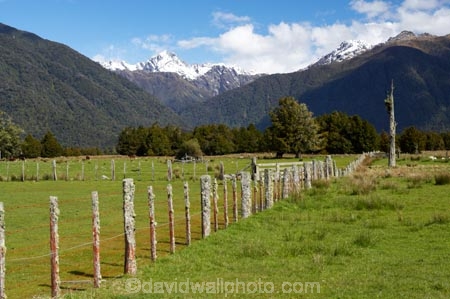 8-wire;agricultural;agriculture;alp;alpine;alps;altitude;country;countryside;farm;farming;farmland;farms;fence;fence-line;fence-lines;fence_line;fence_lines;fenceline;fencelines;fences;fencing;field;fields;Fox-Glacier;high-altitude;main-divide;meadow;meadows;mount;mountain;mountain-peak;mountainous;mountains;mountainside;mt;mt.;New-Zealand;number-8-wire;number-eight-wire;paddock;paddocks;pasture;pastures;peak;peaks;post-and-wire;range;ranges;rural;snow;snow-capped;snow_capped;snowcapped;snowy;South-Island;southern-alps;summit;summits;West-Coast;westland