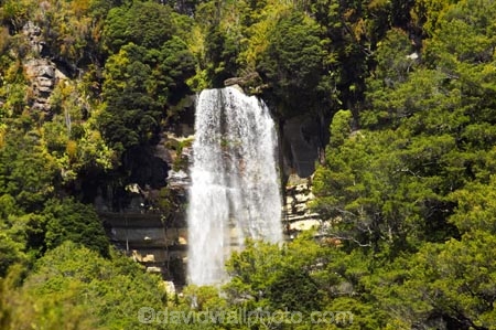 bush;creek;creeks;falls;Granity;Millerton;native-bush;natural;nature;New-Zealand;scene;scenic;South-Island;stream;streams;water;water-fall;water-falls;waterfall;waterfalls;West-Coast;westland;wet