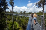 aerial-walkway;aerial-walkways;aerials-walkways;bridge;bridges;bush;canopy;canopy-walk;eco-tourism;ecotourism;elevated-walkway;elevated-walkways;engineering;forest;forest-canopy;forests;high;high-up;Hokitika;lush;luxuriant;M.R.;model-release;model-released;MR;N.Z.;native-bush;native-forest;native-forests;native-tree;native-trees;native-woods;natural;nature;New-Zealand;NZ;plant;plants;rain-forest;rain-forests;rain_forests;rainforest;rainforest-canopy;rainforest-walk;rainforests;S.I.;SI;South-Is;South-Island;steel;Sth-Is;structure;structures;tourism;travel;tree;Tree-top-Walk;Tree-top-Walkway;tree-trunk;tree-trunks;Tree_top-Walk;Tree_top-Walkway;trees;Treetop-Walk;Treetop-Walkway;walkway;walkways;West-Coast;West-Coast-Treetop-Walk;West-Coast-Treetop-Walkway;Westland;wood;woods