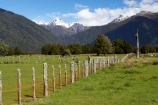 8-wire;agricultural;agriculture;alp;alpine;alps;altitude;country;countryside;farm;farming;farmland;farms;fence;fence-line;fence-lines;fence_line;fence_lines;fenceline;fencelines;fences;fencing;field;fields;Fox-Glacier;high-altitude;main-divide;meadow;meadows;mount;mountain;mountain-peak;mountainous;mountains;mountainside;mt;mt.;New-Zealand;number-8-wire;number-eight-wire;paddock;paddocks;pasture;pastures;peak;peaks;post-and-wire;range;ranges;rural;snow;snow-capped;snow_capped;snowcapped;snowy;South-Island;southern-alps;summit;summits;West-Coast;westland