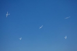 3rd-Fai-World-Sailplane-Grand-Prix-Final;aviate;aviation;aviator;aviators;Chile;F.A.I.;Fai-World-Sailplane-Grand-Prix;flies;fly;flying;glide;glider;gliders;glides;gliding;Gliding-Grand-Prix;sail-plane;sail-planes;sail-planing;sail_plane;sail_planes;sail_planing;sailplane;sailplanes;sailplaning;soar;soaring;South-America;Sth-America;wing;wings;World-Gliding-Grand-Prix