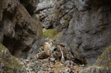 bluff;bluffs;Britain;British-Isles;cascade;cascades;cliff;cliffs;creek;creeks;England;Europe;falls;G.B.;GB;Gordale-Scar;Great-Britain;hiker;hikers;Malham;mountainside;mountainsides;natural;nature;North-Yorkshire;Northern-England;people;person;scene;scenic;steep;stream;streams;U.K.;UK;United-Kingdom;walker;walkers;water;water-fall;water-falls;waterfall;waterfalls;wet;Yorkshire;Yorkshire-Dales;Yorkshire-Dales-National-Park