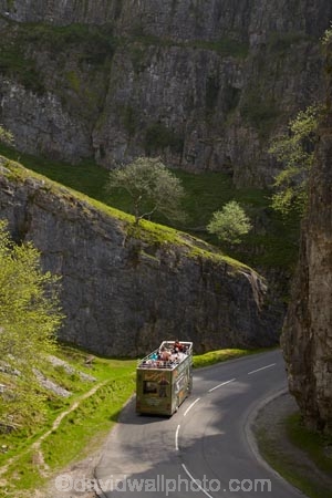 bend;bends;Britain;bus;buses;centre-line;centre-lines;centre_line;centre_lines;centreline;centrelines;Cheddar;Cheddar-Gorge;coach;coaches;corner;corners;curve;curves;driving;England;G.B.;GB;Great-Britain;limestone-gorge;limestone-gorges;Mendip-Hills;narrow-road;narrow-roads;open-road;open-roads;road;road-trip;roads;Sedgemoor;Somerset;tour-bus;tour-buses;tour-coach;tour-coaches;touring;tourism;tourist;Tourist-Bus;Tourist-Buses;tourist-coach;tourist-coaches;tourists;transport;transportation;travel;traveling;travelling;trip;U.K.;UK;United-Kingdom