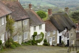Britain;building;buildings;Dorset;England;G.B.;GB;Gold-Hill;grass-roof;Great-Britain;heritage;historic;historic-building;historic-buildings;historical;historical-building;historical-buildings;history;old;roof;roofing-material;roofs;rooves;Shaftesbury;steep-cobbled-street;stone-buidling;stone-buildings;straw-roof;straw-rooves;thatch;thatched;thatched-cottage;thatched-cottages;thatched-house;thatched-houses;thatched-roof;thatched-roofs;thatched-rooves;thatching;tradition;traditional;traditional-thatched-cottage;traditional-thatched-cottages;U.K.;UK;United-Kingdom