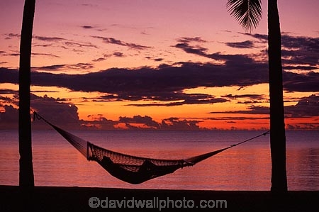 alone;beach;beaches;calm;calmness;coast;coastline;coconut-palm;coconut-palms;coconut-tree;coconut-trees;cocos-nucifera;dusk;hammock;hammocks;heavenly;holiday;holidays;horizon;horizons;idyllic;island;islands;leisure;melanesia;ocean;one-person;outdoor;outdoors;outside;pacific;palm;palm-tree;palm-trees;palms;paradise;peaceful;plant;plants;quiet;relax;relaxation;relaxing;rest;restful;sand;sandy;scenic;scenics;sea;serene;shore;shoreline;shores;silence;silhouette;single;sky;sleep;still;summer;summertime;sunset;sunsets;tranquil;travel;travels;tree;trees;tropical;vacation;vacations;vegetation;viti-levu;water;world-locations;world-travel