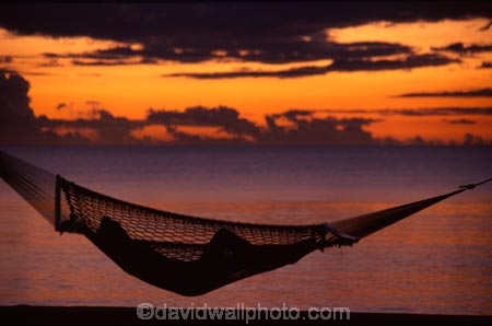 beach;beaches;coast;coastline;heavenly;holiday;holidays;horizon;horizons;idyllic;island;islands;leisure;melanesia;ocean;outdoor;outdoors;outside;pacific;sand;sandy;scenic;scenics;sea;shore;shores;shoreline;summer;summertime;travel;travels;tropical;vacation;vacations;vegetation;viti-levu;water;world-locations;world-travel;silhouette;hammock;hammocks;sleep;relax;relaxing;serene;peaceful;quiet;restful;rest;calm;tranquil;still;alone;calmness;one-person;relaxation;silence;sunset;sunsets;dusk;sky;single