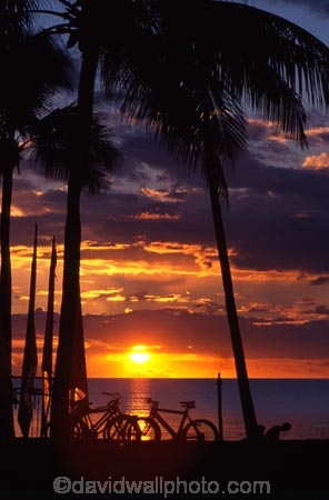 coconut-palm;coconut-palms;coconut-tree;coconut-trees;cocos-nucifera;heavenly;holiday;holidays;horizon;horizons;idyllic;island;islands;leisure;melanesia;outdoor;outdoors;outside;pacific;palm;palm-tree;palms;palm-trees;paradise;plant;plants;scenic;scenics;summer;summertime;travel;travels;tree;trees;tropical;vacation;vacations;vegetation;viti-levu;world-locations;world-travel;relax;relaxing;serene;peaceful;quiet;restful;rest;calm;tranquil;still;calmness;relaxation;silence;sunset;sunsets;dusk;sky;orange;serene;relax;relaxation;ocean;oceans;pacific;horizon