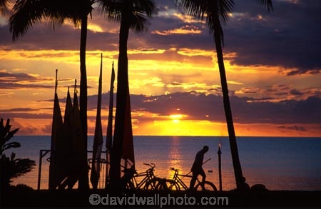 coconut-palm;coconut-palms;coconut-tree;coconut-trees;cocos-nucifera;heavenly;holiday;holidays;horizon;horizons;idyllic;island;islands;leisure;melanesia;outdoor;outdoors;outside;pacific;palm;palm-tree;palms;palm-trees;paradise;plant;plants;scenic;scenics;summer;summertime;travel;travels;tree;trees;tropical;vacation;vacations;vegetation;viti-levu;world-locations;world-travel;relax;relaxing;serene;peaceful;quiet;restful;rest;calm;tranquil;still;calmness;relaxation;silence;sunset;sunsets;dusk;sky;orange;serene;relax;relaxation;ocean;oceans;pacific;horizon