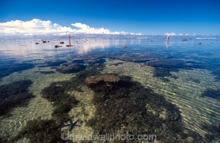 heavenly;holiday;holidays;horizon;horizons;idyllic;island;islands;leisure;melanesia;ocean;outdoor;outdoors;outside;pacific;distant;distance;person;people;starfish;coral;blue-star;transparent