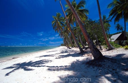 beach;beaches;coast;coastline;coconut-palm;coconut-palms;coconut-tree;coconut-trees;cocos-nucifera;heavenly;holiday;holidays;horizon;horizons;idyllic;island;islands;leisure;melanesia;ocean;outdoor;outdoors;outside;pacific;palm;palm-tree;palms;palm-trees;paradise;plant;plants;sand;sandy;scenic;scenics;sea;shadow;shadows;shore;shores;shoreline;summer;summertime;travel;travels;tree;trees;tropical;vacation;vacations;vegetation;viti-levu;water;world-locations;world-travel;horse;rider;ride;relax;relaxing;serene;peaceful;quiet;restful;rest;calm;tranquil;still