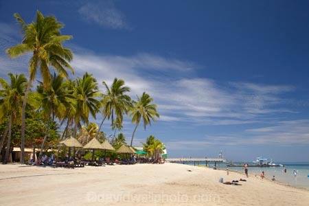 beach;beaches;coast;coastal;coastline;coastlines;coasts;Fij;Fiji;Fiji-Islands;foreshore;holiday;holiday-resort;holiday-resorts;holidays;Malolo-Lailai-Is;Malolo-Lailai-Island;Malololailai-Is;Malololailai-Island;Mamanuca-Group;Mamanuca-Is;Mamanuca-Island-Group;Mamanuca-Islands;Mamanucas;ocean;Pacific;Pacific-Island;Pacific-Islands;palm;palm-tree;palm-trees;palms;Plantation-Is;Plantation-Is-Resort;Plantation-Island;Plantation-Island-Resort;resort;resort-hotel;resort-hotels;resorts;sand;sandy;sea;shore;shoreline;shorelines;shores;South-Pacific;tropical-island;tropical-islands;vacation;vacations;water