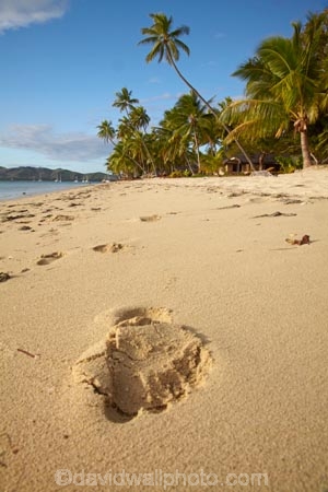 beach;beaches;coast;coastal;coastline;coastlines;coasts;Fij;Fiji;Fiji-Islands;footprint;footprints;foreshore;holiday;holiday-resort;holiday-resorts;holidays;Malolo-Lailai-Is;Malolo-Lailai-Island;Malololailai-Is;Malololailai-Island;Mamanuca-Group;Mamanuca-Is;Mamanuca-Island-Group;Mamanuca-Islands;Mamanucas;ocean;Pacific;Pacific-Island;Pacific-Islands;palm;palm-tree;palm-trees;palms;paradise;Plantation-Is;Plantation-Is-Resort;Plantation-Island;Plantation-Island-Resort;resort;resort-hotel;resort-hotels;resorts;sand;sandy;sea;shore;shoreline;shorelines;shores;South-Pacific;tropical-island;tropical-islands;vacation;vacations;water