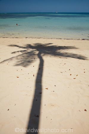 aqua;aquamarine;beach;beaches;blue;clean-water;clear-water;coast;coastal;coastline;coastlines;coasts;cobalt-blue;cobalt-ultramarine;cobaltultramarine;Fij;Fiji;Fiji-Islands;foreshore;holiday;holiday-resort;holiday-resorts;holidays;Malolo-Lailai-Is;Malolo-Lailai-Island;Malololailai-Is;Malololailai-Island;Mamanuca-Group;Mamanuca-Is;Mamanuca-Island-Group;Mamanuca-Islands;Mamanucas;ocean;Pacific;Pacific-Island;Pacific-Islands;palm;palm-frond;palm-fronds;palm-shadow;palm-tree;palm-tree-shadow;palm-trees;palms;paradise;Plantation-Is;Plantation-Is-Resort;Plantation-Island;Plantation-Island-Resort;resort;resort-hotel;resort-hotels;resorts;sand;sandy;sea;shadow;shadows;shore;shoreline;shorelines;shores;South-Pacific;teal-blue;tropical-island;tropical-islands;turquoise;vacation;vacations;water