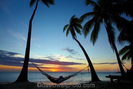 coast;coastal;coastline;coastlines;coasts;dusk;evening;Fij;Fiji;Fiji-Islands;foreshore;hammock;hammocks;holiday;holiday-resort;holiday-resorts;holidays;leisure;Malolo-Lailai-Is;Malolo-Lailai-Island;Malololailai-Is;Malololailai-Island;Mamanuca-Group;Mamanuca-Is;Mamanuca-Island-Group;Mamanuca-Islands;Mamanucas;nightfall;ocean;orange;Pacific;Pacific-Island;Pacific-Islands;palm;palm-frond;palm-fronds;palm-tree;palm-trees;palms;Plantation-Is;Plantation-Is-Resort;Plantation-Island;Plantation-Island-Resort;relaxation;relaxing;resort;resort-hotel;resort-hotels;resorts;sea;shore;shoreline;shorelines;shores;sky;South-Pacific;sunset;sunsets;tropical-island;tropical-islands;twilight;vacation;vacations;water