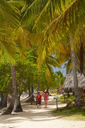 child;children;Fij;Fiji-Islands;holiday;holiday-resort;holiday-resorts;holidays;kid;kids;Malolo-Lailai-Is;Malolo-Lailai-Island;Malololailai-Is;Malololailai-Island;Mamanuca-Is;Mamanuca-Islands;Mamanucas;Pacific;Pacific-Island;Pacific-Islands;palm;palm-frond;palm-fronds;palm-tree;palm-trees;palms;path;pathway;pathways;Plantation-Is;Plantation-Is-Resort;Plantation-Island;Plantation-Island-Resort;resort;resort-hotel;resort-hotels;resorts;South-Pacific;tropical-island;tropical-islands;vacation;vacations