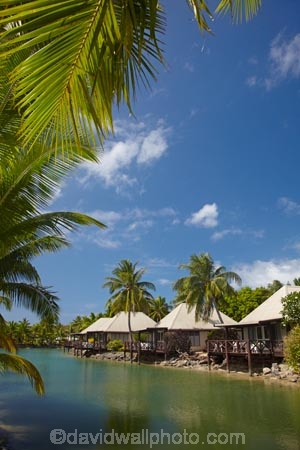 bure;bures;Fij;Fiji;Fiji-Islands;holiday;holiday-accommodation;holiday-resort;holiday-resorts;holidays;island;islands;lagoon-bure;Lagoon-Bures;Malolo-Lailai-Is;Malolo-Lailai-Island;Mamanuca-Group;Mamanuca-Is;Mamanuca-Island-Group;Mamanuca-Islands;Mamanucas;Musket-Cove-Island-Resort;Musket-Cove-Resort;over-water-bure;over-water-bures;over_water-bure;over_water-bures;Pacific;Pacific-Island;Pacific-Islands;palm;palm-frond;palm-fronds;palm-tree;palm-trees;palms;resort;resort-hotel;resort-hotels;resorts;South-Pacific;tropical-island;tropical-islands;vacation;vacations