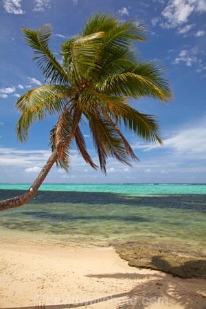 aqua;aquamarine;beach;beaches;blue;clean-water;clear-water;coast;coastal;coastline;coastlines;coasts;cobalt-blue;cobalt-ultramarine;cobaltultramarine;coconut-palm;coconut-palm-tree;coconut-palm-trees;coconut-palms;Coral-Coast;Crusoes-Resort;Crusoes-Retreat;Crusoes-Resort;Crusoes-Retreat;Fij;Fiji-Islands;foreshore;holiday;holiday-resort;holiday-resorts;holidays;island;islands;ocean;oceans;Pacific;Pacific-Island;Pacific-Islands;palm;palm-tree;palm-trees;palms;resort;resorts;sand;sandy;sea;seas;shore;shoreline;shorelines;shores;South-Pacific;teal-blue;tropical-island;tropical-islands;turquoise;vacation;vacations;Viti-Levu;Viti-Levu-Is;Viti-Levu-Island;water