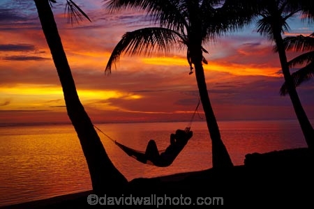 coconut-palm;coconut-palm-tree;coconut-palm-trees;coconut-palms;Coral-Coast;dusk;evening;female;Fij;Fiji-Islands;hammock;hammocks;Korotogo;nightfall;orange;Pacific;Pacific-Ocean;palm;palm-tree;palm-trees;palms;people;person;Sigatoka;silhouette;silhouettes;sky;South-Pacific;sunset;sunsets;tourism;tourist;tourists;tropical-island;tropical-islands;twilight;Viti-Levu;Viti-Levu-Island;woman;women