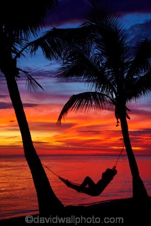 coast;coastal;coastline;coastlines;coasts;coconut-palm;coconut-palm-tree;coconut-palm-trees;coconut-palms;Coral-Coast;dusk;evening;female;Fij;Fiji-Islands;foreshore;hammock;hammocks;Korotogo;nightfall;ocean;orange;Pacific;Pacific-Ocean;palm;palm-tree;palm-trees;palms;sea;shore;shoreline;shorelines;shores;Sigatoka;silhouette;silhouettes;sky;South-Pacific;sunset;sunsets;tropical-island;tropical-islands;twilight;Viti-Levu;Viti-Levu-Island;water;woman;women
