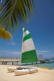 beach;beaches;boat;boats;catamaran;coast;coastal;coastline;coastlines;coasts;Fij;Fiji;Fiji-Islands;foreshore;hobie-cat;hobiecat;holiday;holiday-resort;holiday-resorts;holidays;Malolo-Lailai-Is;Malolo-Lailai-Island;Malololailai-Is;Malololailai-Island;Mamanuca-Group;Mamanuca-Is;Mamanuca-Island-Group;Mamanuca-Islands;Mamanucas;ocean;Pacific;Pacific-Island;Pacific-Islands;palm;palm-frond;palm-fronds;palm-tree;palm-trees;palms;Plantation-Is;Plantation-Is-Resort;Plantation-Island;Plantation-Island-Resort;resort;resort-hotel;resort-hotels;resorts;sand;sandy;sea;shore;shoreline;shorelines;shores;South-Pacific;tropical-island;tropical-islands;vacation;vacations;water;yacht;yachts
