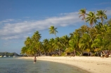 beach;beaches;beachfront-bure;beachfront-bures;bure;bures;coast;coastal;coastline;coastlines;coasts;female;Fij;Fiji;Fiji-Islands;foreshore;girl;girls;holiday;holiday-resort;holiday-resorts;holidays;Malolo-Lailai-Is;Malolo-Lailai-Island;Malololailai-Is;Malololailai-Island;Mamanuca-Group;Mamanuca-Is;Mamanuca-Island-Group;Mamanuca-Islands;Mamanucas;ocean;Pacific;Pacific-Island;Pacific-Islands;palm;palm-tree;palm-trees;palms;paradise;Plantation-Is;Plantation-Is-Resort;Plantation-Island;Plantation-Island-Resort;resort;resort-hotel;resort-hotels;resorts;sand;sandy;sea;shore;shoreline;shorelines;shores;South-Pacific;tropical-island;tropical-islands;vacation;vacations;water;waterfront-bure;waterfront-bures;woman;women