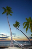 beach;beaches;coast;coastal;coastline;coastlines;coasts;dusk;evening;Fij;Fiji;Fiji-Islands;foreshore;hammock;hammocks;holiday;holiday-resort;holiday-resorts;holidays;leisure;Malolo-Lailai-Is;Malolo-Lailai-Island;Malololailai-Is;Malololailai-Island;Mamanuca-Group;Mamanuca-Is;Mamanuca-Island-Group;Mamanuca-Islands;Mamanucas;nightfall;ocean;Pacific;Pacific-Island;Pacific-Islands;palm;palm-frond;palm-fronds;palm-tree;palm-trees;palms;Plantation-Is;Plantation-Is-Resort;Plantation-Island;Plantation-Island-Resort;relaxation;relaxing;resort;resort-hotel;resort-hotels;resorts;sand;sandy;sea;shore;shoreline;shorelines;shores;sky;South-Pacific;sunset;sunsets;tropical-island;tropical-islands;twilight;vacation;vacations;water