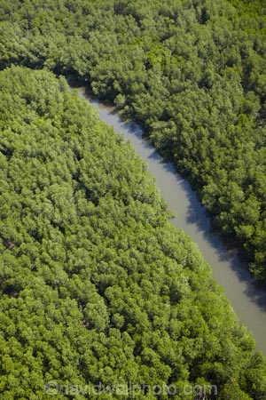 aerial;aerial-photo;aerial-photograph;aerial-photographs;aerial-photography;aerial-photos;aerial-view;aerial-views;aerials;Denarau-Is;Denarau-Island;Fij;Fiji;Fiji-Islands;mangrove;mangrove-swamp;mangrove-swamps;mangroves;Pacific;Pacific-Island;Pacific-Islands;South-Pacific;Viti-Levu