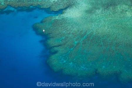 aerial;aerial-photo;aerial-photograph;aerial-photographs;aerial-photography;aerial-photos;aerial-view;aerial-views;aerials;aqua;aquamarine;blue;boat;boats;clean-water;clear-water;coast;cobalt-blue;cobalt-ultramarine;cobaltultramarine;coral-reef;coral-reefs;dive-boat;dive-boats;Fij;Fiji;Fiji-Islands;Mamanuca-Group;Mamanuca-Is;Mamanuca-Island-Group;Mamanuca-Islands;Mamanucas;Pacific;Pacific-Island;Pacific-Islands;reef;reefs;South-Pacific;teal-blue;Tokoriki-Is;Tokoriki-Island;tropical-island;tropical-islands;tropical-reef;tropical-reefs;turquoise
