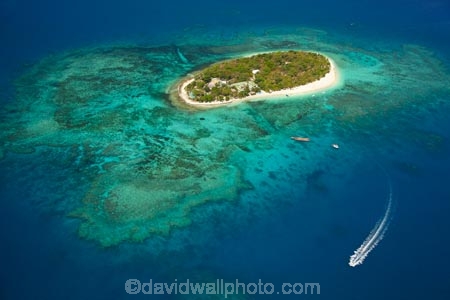 aerial;aerial-photo;aerial-photograph;aerial-photographs;aerial-photography;aerial-photos;aerial-view;aerial-views;aerials;aqua;aquamarine;blue;boat;boats;clean-water;clear-water;coast;coastal;coastline;coastlines;coasts;cobalt-blue;cobalt-ultramarine;cobaltultramarine;coral;coral-reef;coral-reefs;corals;Fij;Fiji;Fiji-Islands;foreshore;holiday;holiday-accommodation;holiday-resort;holiday-resorts;holidays;Mamanuca-Group;Mamanuca-Is;Mamanuca-Island-Group;Mamanuca-Islands;Mamanucas;ocean;Pacific;Pacific-Island;Pacific-Islands;reef;reefs;resort;resort-hotel;resort-hotels;resorts;sea;shore;shoreline;shorelines;shores;South-Pacific;teal-blue;Treasure-Is;Treasure-Is-Resort;Treasure-Island;Treasure-Island-Resort;tropical-island;tropical-islands;tropical-reef;tropical-reefs;turquoise;vacation;vacations;water