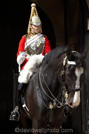 6621;armour;armoured;Blues-and-Royals;britain;British-Army.;British-Household-Cavalry;cavalry;cavalry-regiment;ceremonial;Changing-of-the-Guards;Changing-of-the-Horse-Guards;Cuirass;Cuirassier;england;equestrian;equine;Europe;G.B.;GB;great-britain;helmet;helmets;horse;Horse-Guard;Horse-Guards;horse-riding;horses;Household-Cavalry;Household-Cavalry-Mounted-Regiment;kingdom;Life-Guards-Regiment;london;mounted-soldier;mounted-soldiers;Queens-Life-Guard;Queens-Life-Guards;Royal-Horse-Guards-and-1st-Dragoons;The-Household-Cavalry-Mounted-Regiment;tradition;traditional;U.K.;uk;uniform;uniforms;united;United-Kingdom;Whitehall