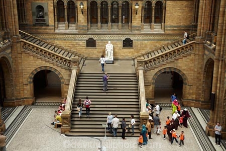 4453;architectural;architecture;britain;buidlings;building;buildings;Central-Hall;Cromwell-Rd;Cromwell-Road;england;Europe;G.B.;GB;great-britain;heritage;historic;historic-building;historic-buildings;historical;historical-building;historical-buildings;history;interior;interiors;kingdom;london;museum;museums;Natural-History-Museum;old;people;person;stairs;stairway;stairways;step;steps;SW7;The-Natural-History-Museum;tradition;traditional;U.K.;uk;united;United-Kingdom;Victorian-Architecture