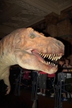 animatronic-models;britain;Cromwell-Rd;Cromwell-Road;Dinosaur;dinosaur-display;dinosaur-displays;dinosaur-exhibit;dinosaur-exhibits;Dinosaur-model;Dinosaur-models;Dinosaurs;england;Europe;G.B.;GB;giant-animatronic-model;great-britain;kingdom;london;model;models;museum;museums;Natural-History-Museum;people;person;SW7;T.-Rex;T.-Rex-display;T.Rex;T.Rex-display;The-Natural-History-Museum;Tyrannosaurus;Tyrannosaurus-model;Tyrannosaurus-rex;Tyrannosaurus-rex-model;U.K.;uk;united;United-Kingdom