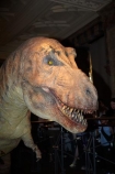animatronic-models;britain;Cromwell-Rd;Cromwell-Road;Dinosaur;dinosaur-display;dinosaur-displays;dinosaur-exhibit;dinosaur-exhibits;Dinosaur-model;Dinosaur-models;Dinosaurs;england;Europe;G.B.;GB;giant-animatronic-model;great-britain;kingdom;london;model;models;museum;museums;Natural-History-Museum;SW7;T.-Rex;T.-Rex-display;T.Rex;T.Rex-display;The-Natural-History-Museum;Tyrannosaurus;Tyrannosaurus-model;Tyrannosaurus-rex;Tyrannosaurus-rex-model;U.K.;uk;united;United-Kingdom