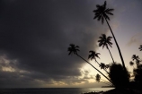 beach;beaches;cloud;clouds;cloudy;coconut-palm;coconut-palms;Cook-Is;Cook-Islands;dusk;evening;night;night_time;nightfall;ocean;Pacific;Pacific-Ocean;palm;palm-tree;Palm-trees;palms;paradise;Rarotonga;sea;South-Pacific;sunset;sunsets;tropical;tropical-island;tropical-islands;tropical-palm-tree;twilight